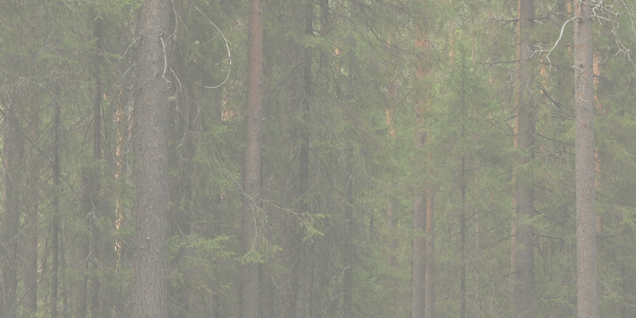 Outdoorsy but Indoors